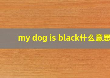 my dog is black什么意思